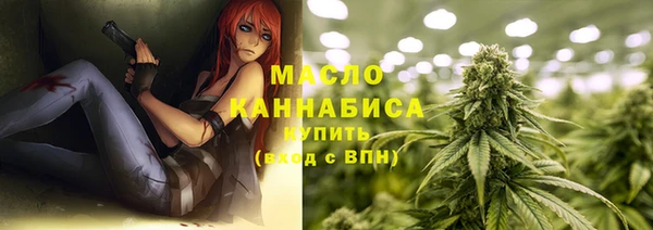 молекула духа Новодвинск