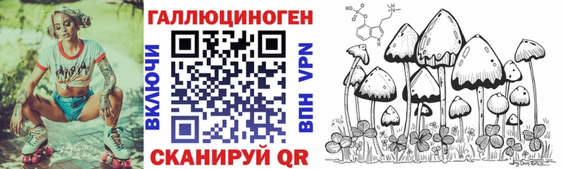 как найти закладки  сайты даркнета клад  Псилоцибиновые грибы GOLDEN TEACHER  Рыльск 
